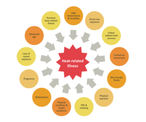Heat Stroke Illness Factors - Source CDC