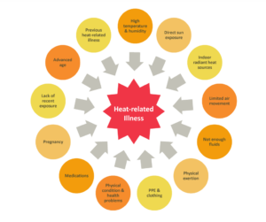 Heat-related Illness (source: CDC)