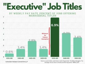 Wage Gap Misclassification - Image 2 - Executive Job Titles